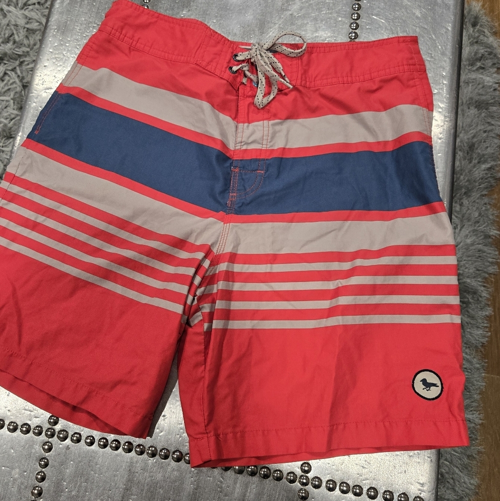 Modern Amusement Red and Blue Striped Board Shorts